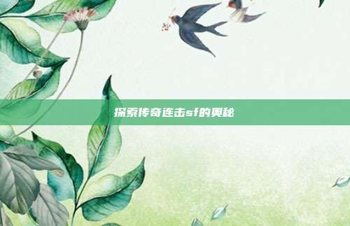 探索传奇连击sf的奥秘