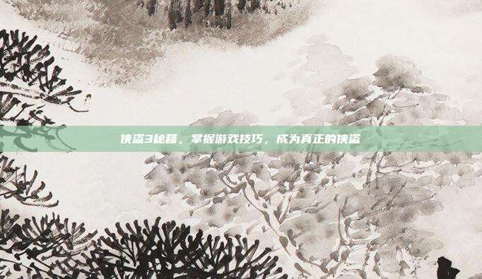 侠盗3秘籍,掌握游戏技巧,成为真正的侠盗