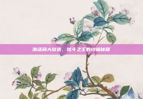 激活码大放送，炫斗之王的终极秘籍
