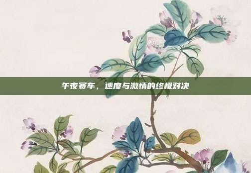 午夜赛车，速度与激情的终极对决