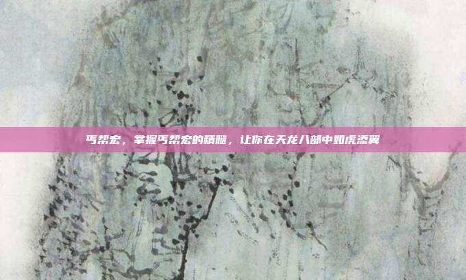 丐帮宏,掌握丐帮宏的精髓,让你在天龙八部中如虎添翼