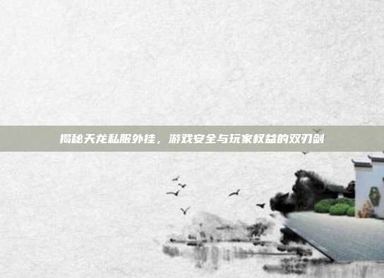揭秘天龙私服外挂，游戏安全与玩家权益的双刃剑