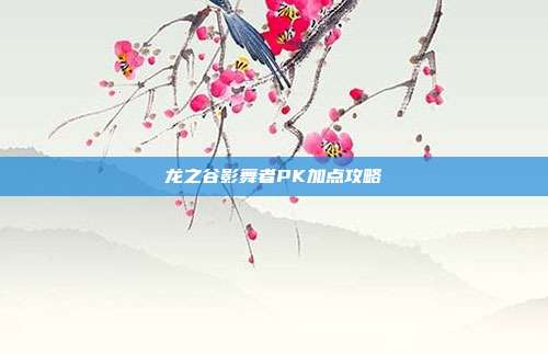 龙之谷影舞者PK加点攻略