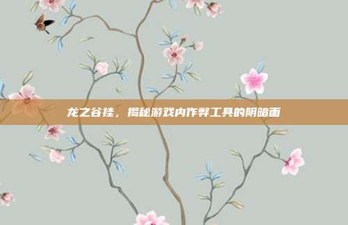 龙之谷挂，揭秘游戏内作弊工具的阴暗面