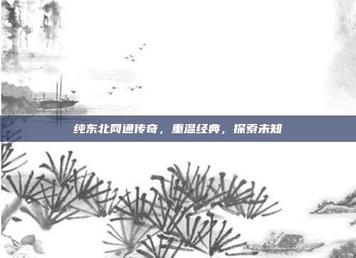 纯东北网通传奇，重温经典，探索未知