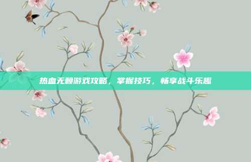 热血无赖游戏攻略,掌握技巧,畅享战斗乐趣