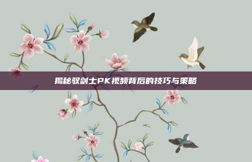 揭秘驭剑士PK视频背后的技巧与策略