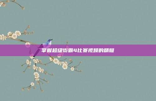 掌握超级街霸4比赛视频的精髓
