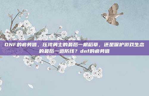 DNF的疲劳值,压垮勇士的最后一根稻草,还是保护游戏生态的最后一道防线?dnf的疲劳值
