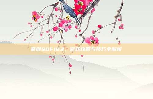 掌握SDF123,游戏攻略与技巧全解析