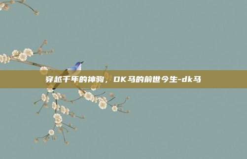 穿越千年的神驹，DK马的前世今生-dk马