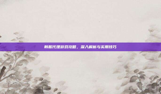 韩服代理游戏攻略，深入解析与实用技巧