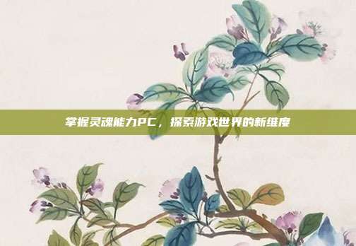 掌握灵魂能力PC,探索游戏世界的新维度