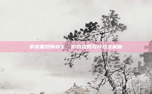 掌握黑翅膀补丁，游戏攻略与技巧全解析