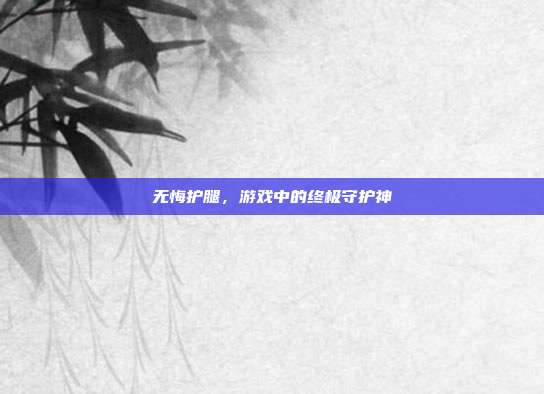 无悔护腿,游戏中的终极守护神