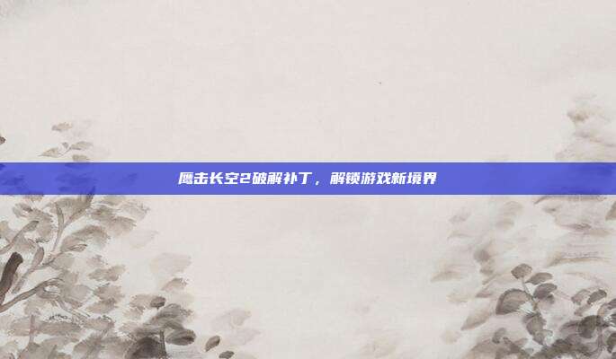 鹰击长空2破解补丁,解锁游戏新境界