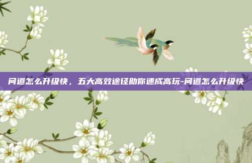 问道怎么升级快，五大高效途径助你速成高玩-问道怎么升级快