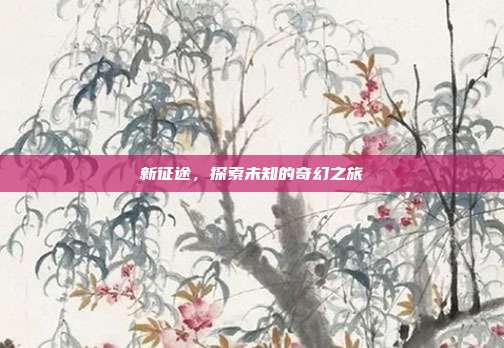 新征途,探索未知的奇幻之旅