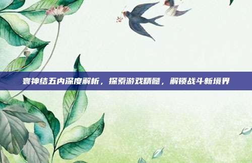 寰神结五内深度解析,探索游戏精髓,解锁战斗新境界