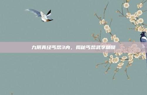 九阴真经丐帮3内,揭秘丐帮武学精髓