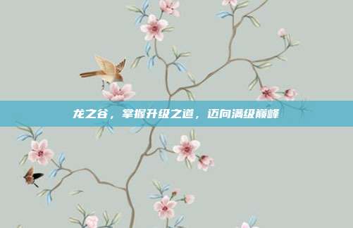 龙之谷,掌握升级之道,迈向满级巅峰