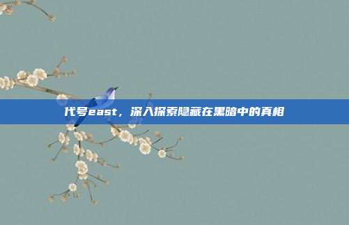 代号east，深入探索隐藏在黑暗中的真相