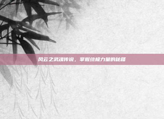 风云之武魂传说,掌握终极力量的秘籍
