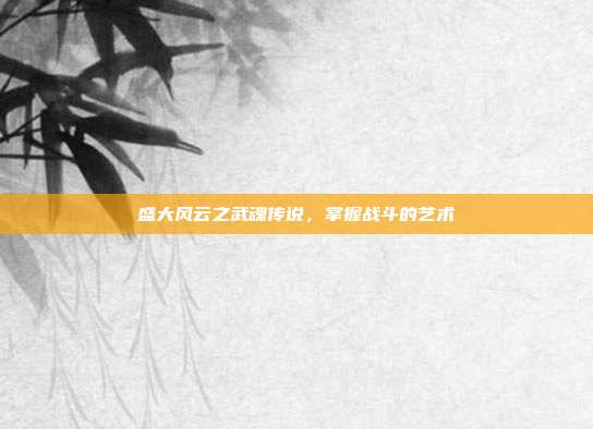 盛大风云之武魂传说，掌握战斗的艺术