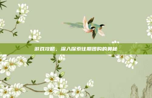 游戏攻略,深入探索往期团购的奥秘
