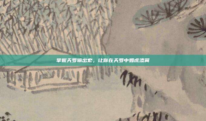掌握天罗输出宏，让你在天罗中如虎添翼