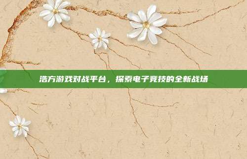 浩方游戏对战平台,探索电子竞技的全新战场