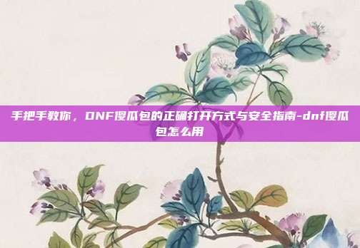 手把手教你，DNF傻瓜包的正确打开方式与安全指南-dnf傻瓜包怎么用