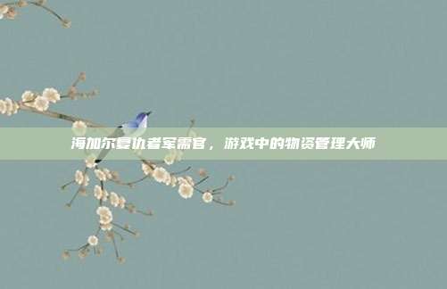 海加尔复仇者军需官,游戏中的物资管理大师