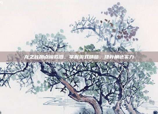 龙之谷加点模拟器，掌握游戏精髓，提升角色实力