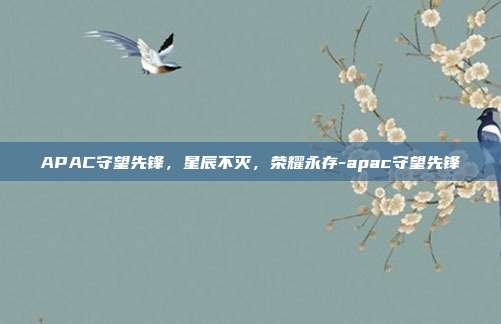 APAC守望先锋，星辰不灭，荣耀永存-apac守望先锋