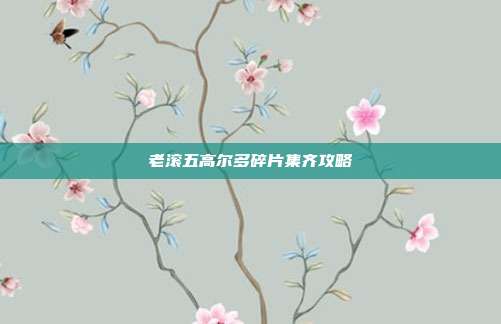 老滚五高尔多碎片集齐攻略