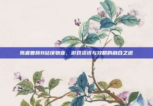 陈睿曾称B站像物业,游戏资讯与攻略的融合之道