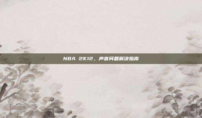 NBA 2K12,声音问题解决指南