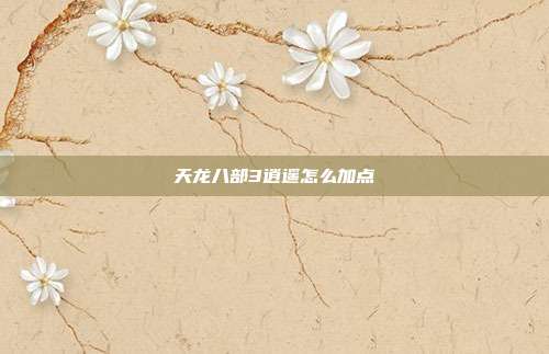 天龙八部3逍遥怎么加点