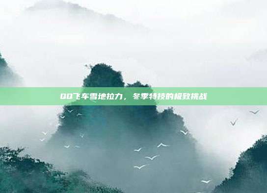 QQ飞车雪地拉力，冬季特技的极致挑战