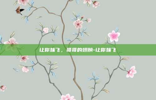 让你妹飞,哥哥的翅膀-让你妹飞