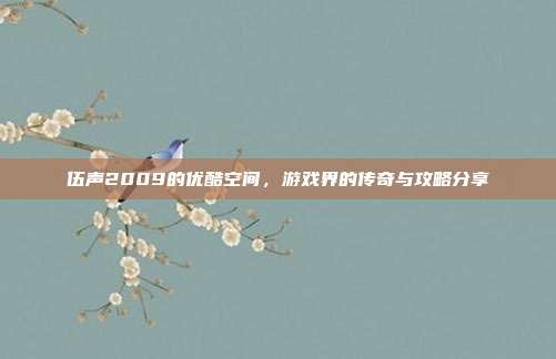 伍声2009的优酷空间，游戏界的传奇与攻略分享