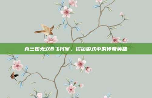 真三国无双6飞将军,揭秘游戏中的传奇英雄