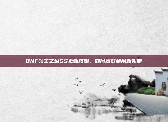 DNF领主之塔SS更新攻略,如何高效利用新机制