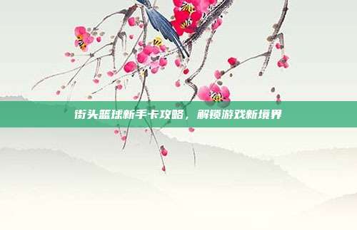 街头篮球新手卡攻略,解锁游戏新境界