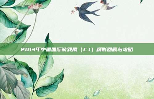 2013年中国国际游戏展（CJ）精彩回顾与攻略