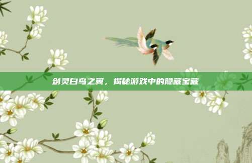 剑灵白鸟之翼,揭秘游戏中的隐藏宝藏