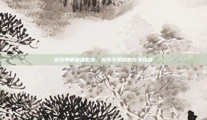 剑灵单刷最强职业,探索与策略的完美结合
