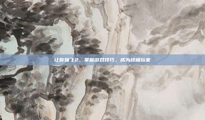 让你妹飞2，掌握游戏技巧，成为终极玩家