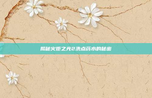 揭秘火炬之光2洗点药水的秘密